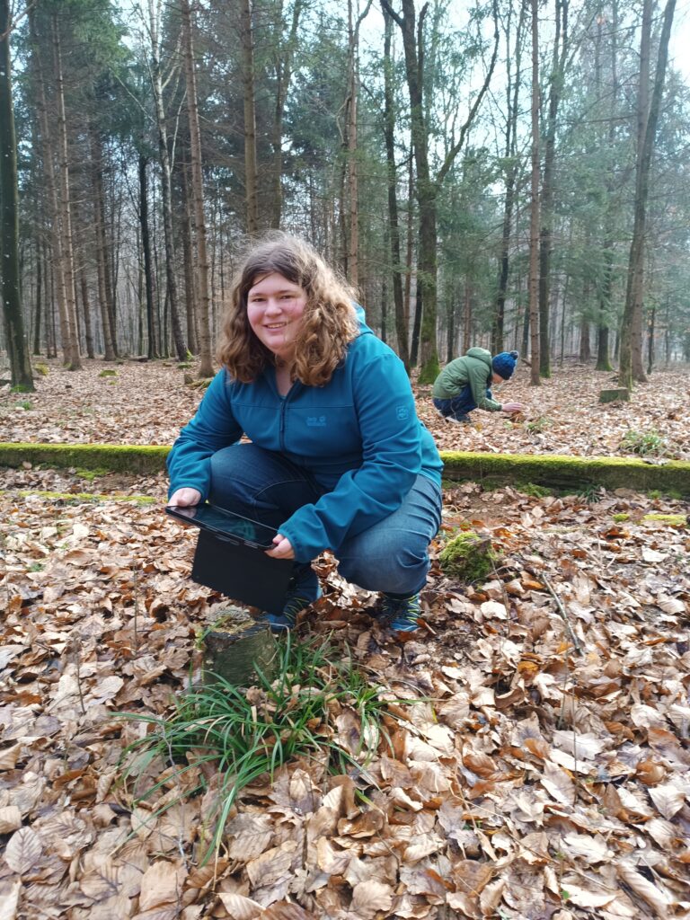 Makro-Fotografie im Wald