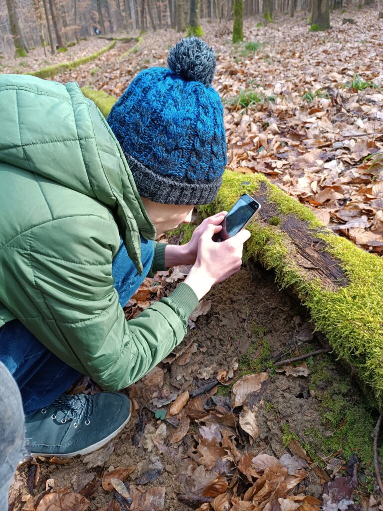 Makro-Fotografie im Wald