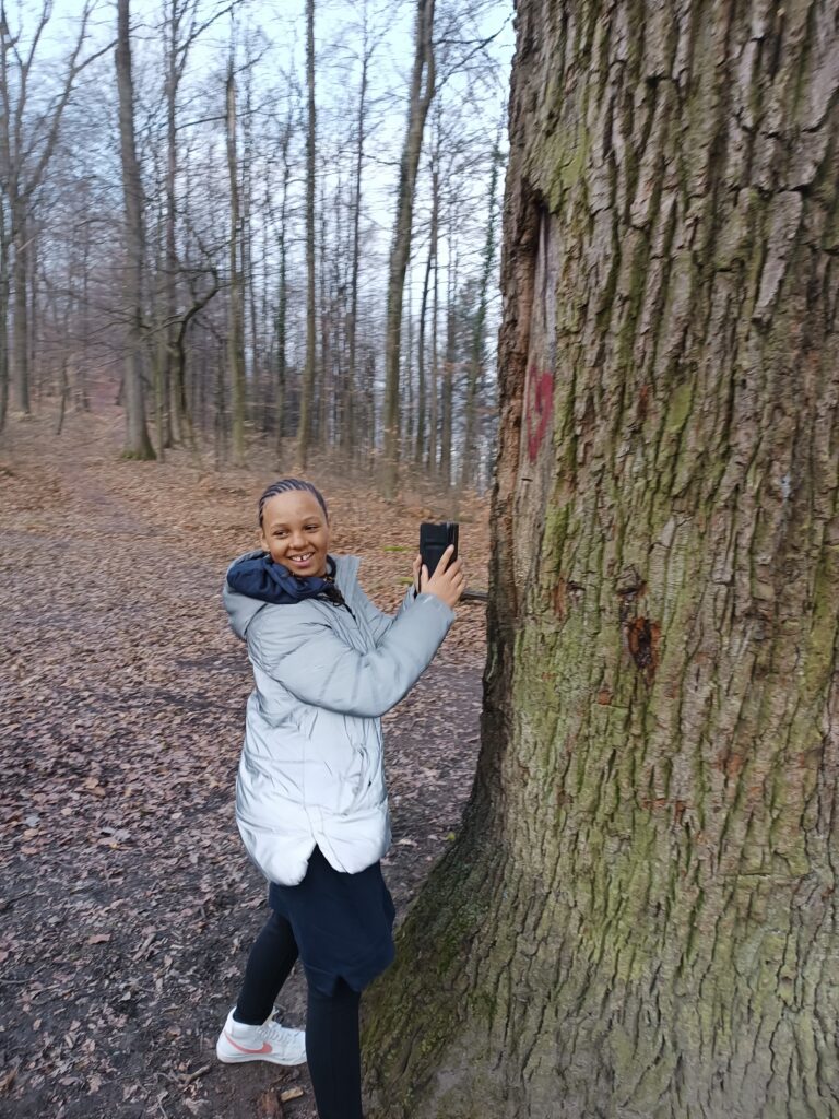 Makro-Fotografie im Wald